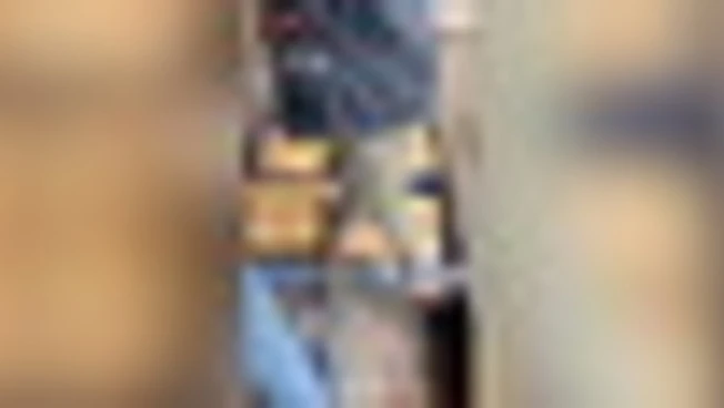 Savona: Carabinieri arrestano camionista con 170 kg di hashish