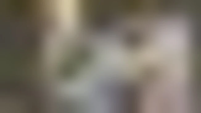https://media.liberoquotidiano.it/N31kf-PYmSXMEzy4PQYk4ZKpst3qUQKzsou6sAmG89Y/width:800/quality:90/aW1hZ2VzLzIwMjYvMDkvMTcvMDcwNjQ1NjEwLTU0ODk0YjczLTg1MDYtNGQxYS04MGVjLWJjYTFjNjcyODJjZi5qcGc.webp