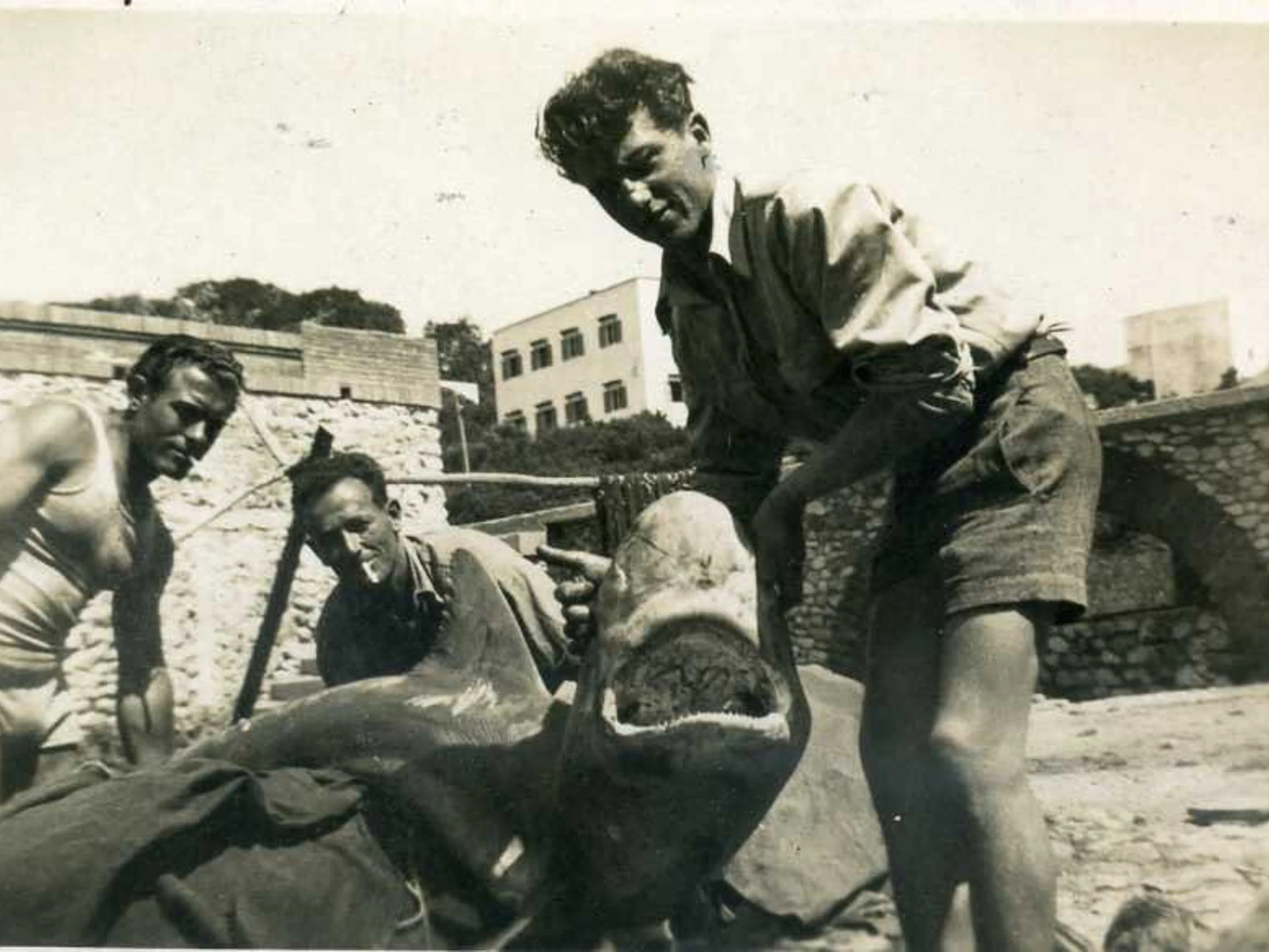Squali, quella volta che Riccione divenne Amity Island | Libero ...