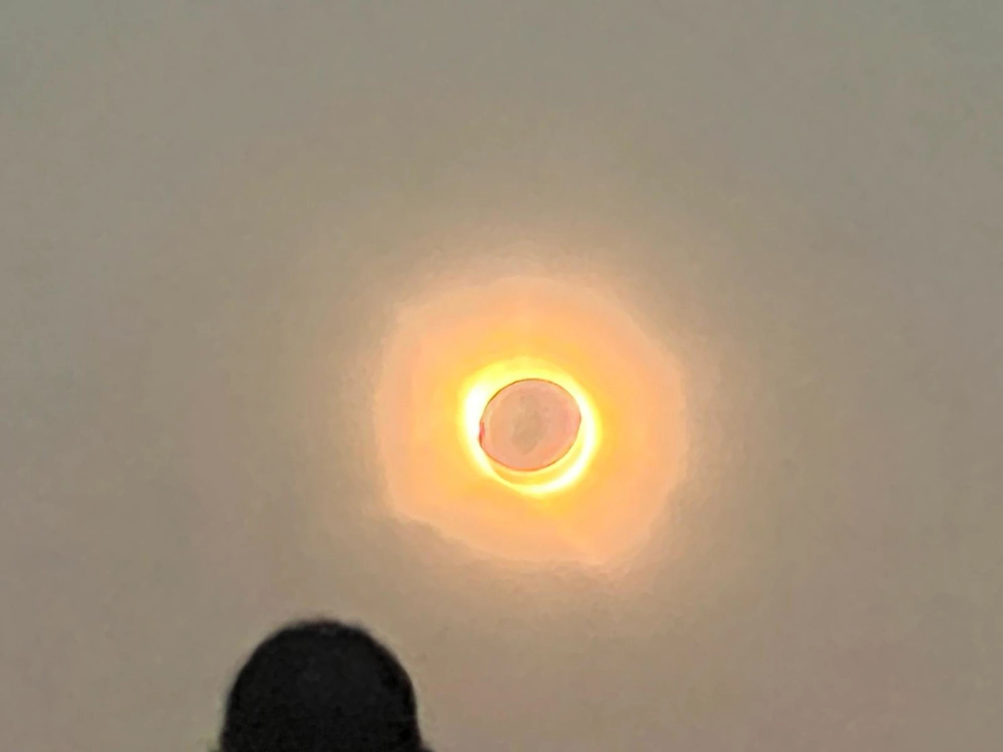 Avete seguito l'eclissi?