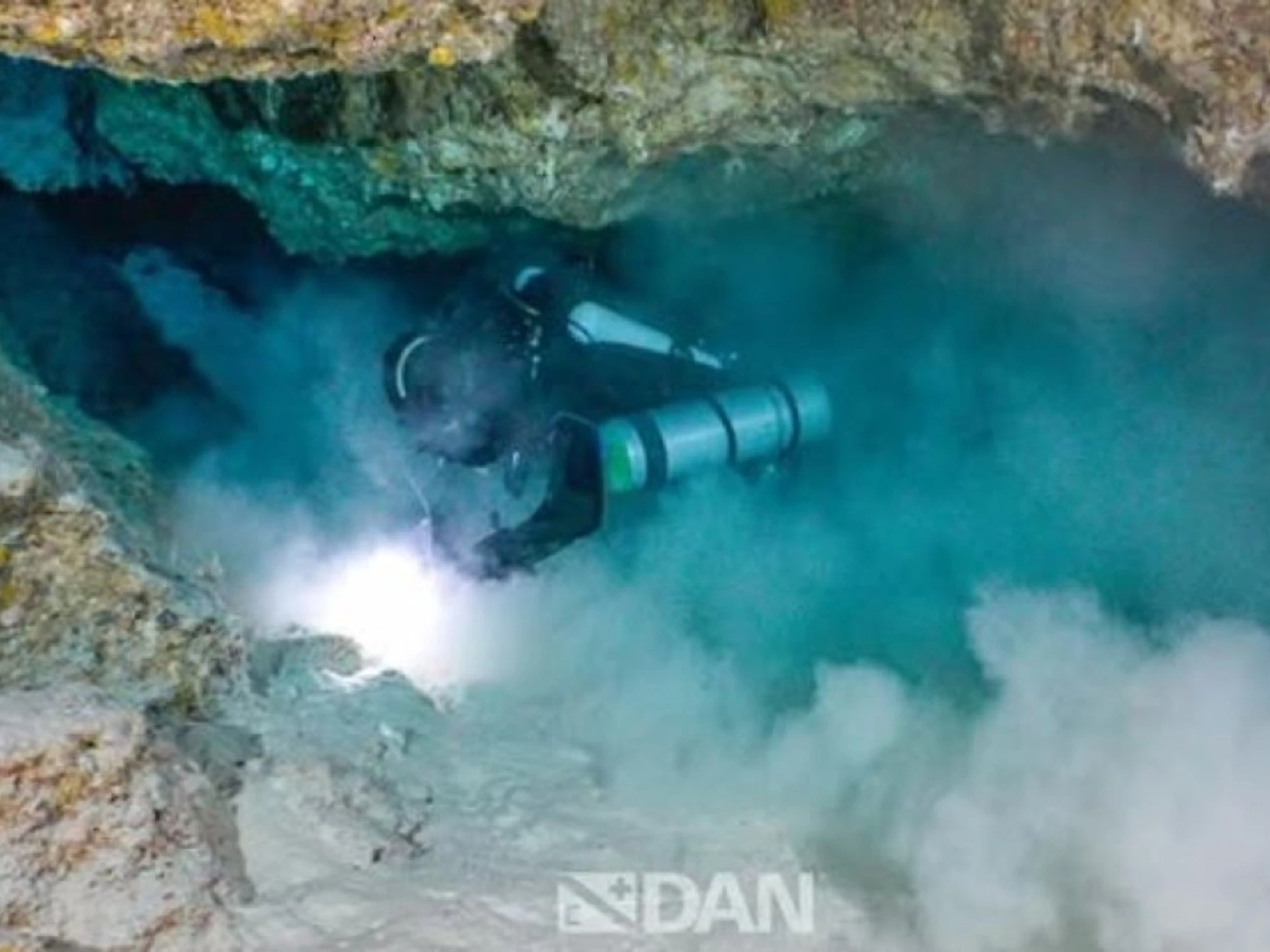 Maldive, la prima foto dalla "grotta degli squali": morte in pochi minuti, ora tutto torna