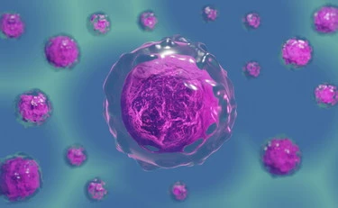 Sepsi, la svolta: una molecola-interruttore combatte l'infezione