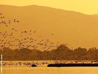 Censiti 84 habitat e 1107 specie in più rispetto ai dati di Rete Natura 2000