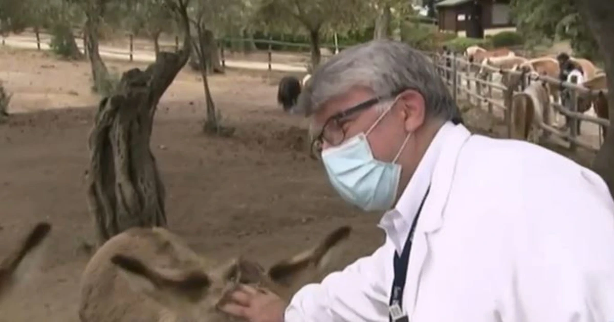 Elisir, ippoterapia e onoterapia: quali i benefici? Parla Piergiorgio Guidorzi, direttore del centro di riabilitazione del San Raffaele di Viterbo