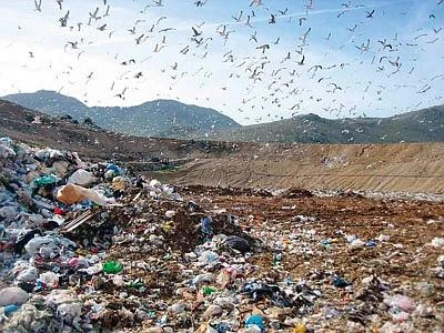 Rifiuti, Polieco: "I consorzi devono coordinare e non gestire i materiali"