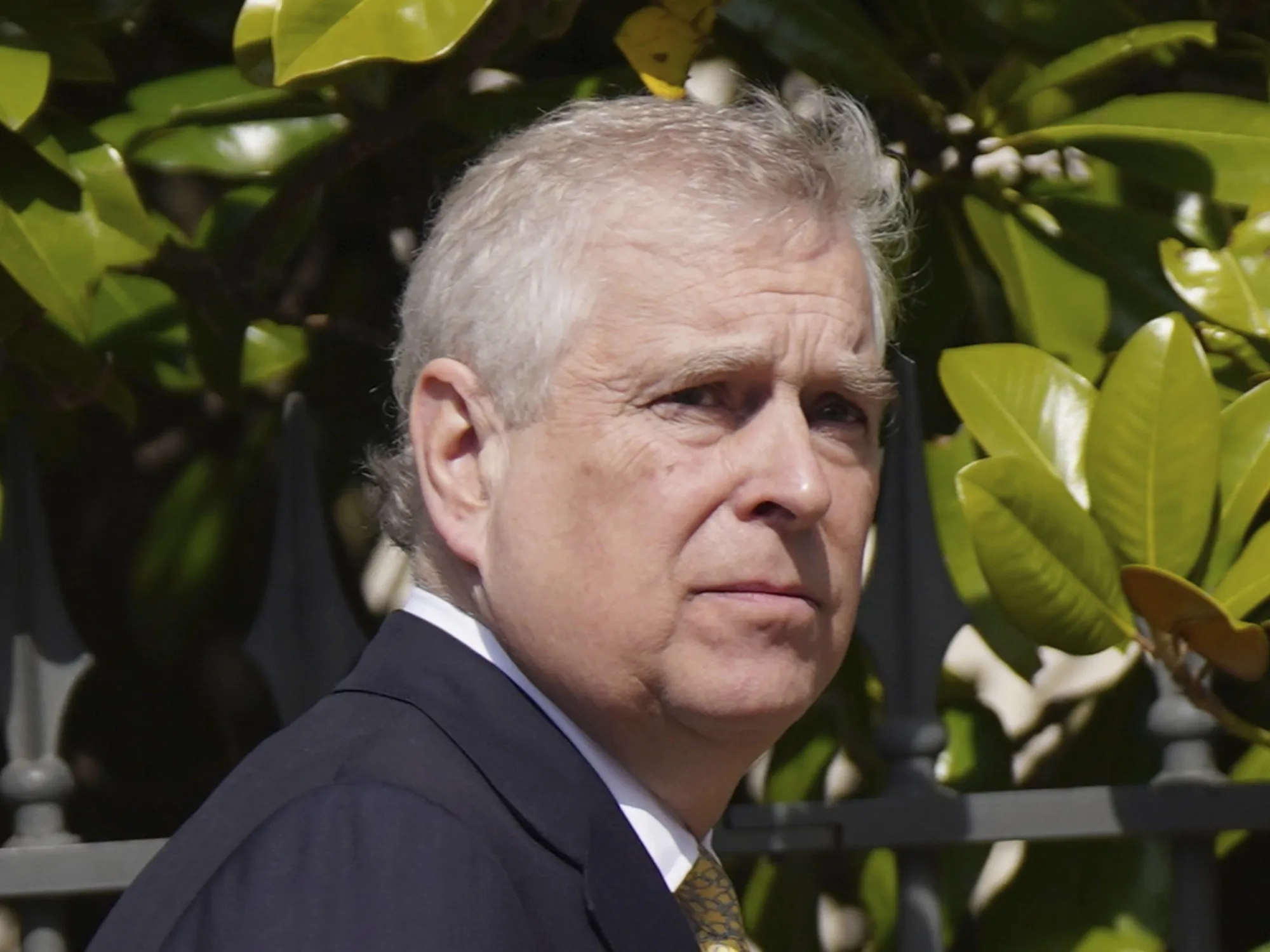 Principe Andrea, l'ultima bomba: "40 prostitute in 4 giorni"