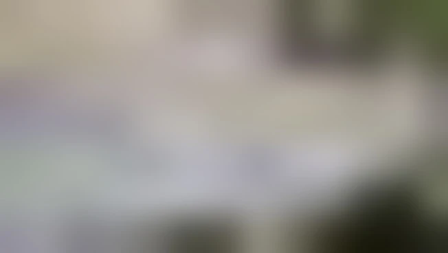 https://media.liberoquotidiano.it/NiITNAKaFAFC_EHexw9KI0-GxDG8G9QqskSR8SQ4004/width:800/quality:90/aW1hZ2VzLzIwMjYvMDUvMDgvMTcyMjM2NDc2LTZhMDYxZmU4LTQ0NDMtNGJjOC1iZDQ1LTA4MDk4MGQ3NDQ3Ni5qcGc.webp