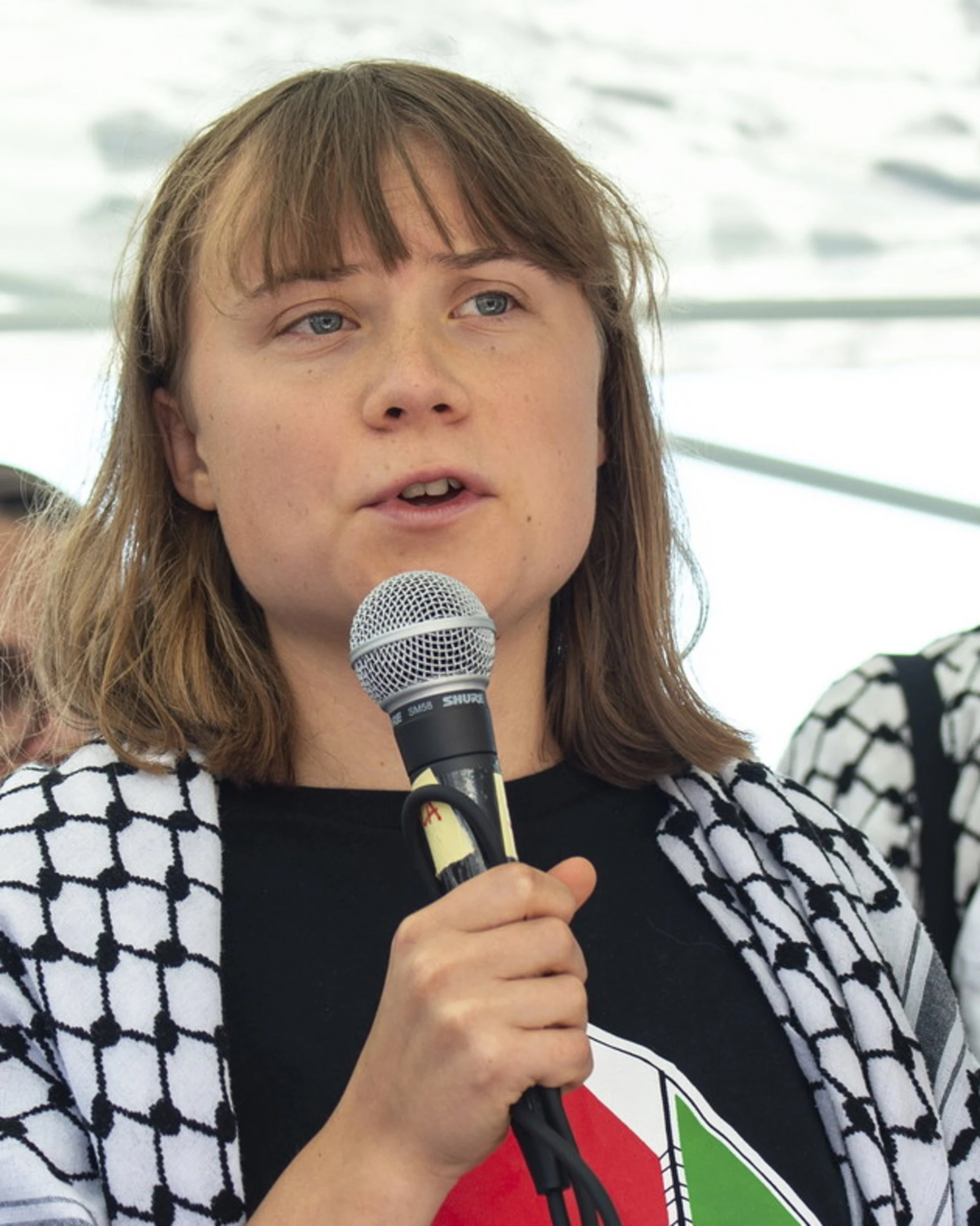 Greta Thunberg, nave assaltata da Israele: "Costretti a vedere un documentario"