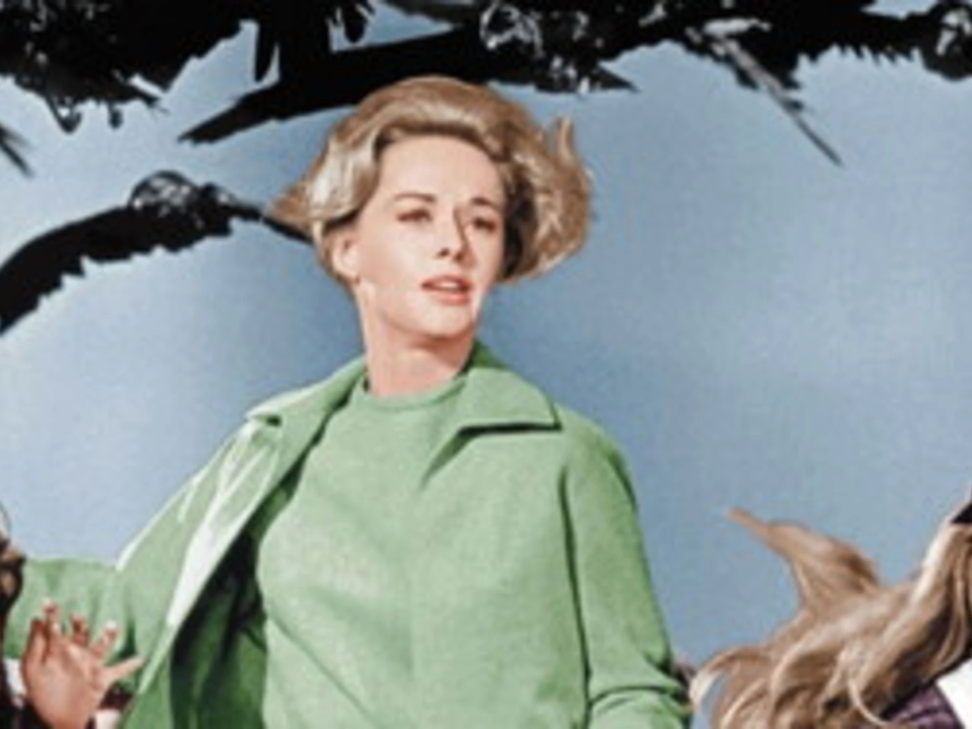 Uccelli di Hitchcock, ecco la vera storia (e l'autore)