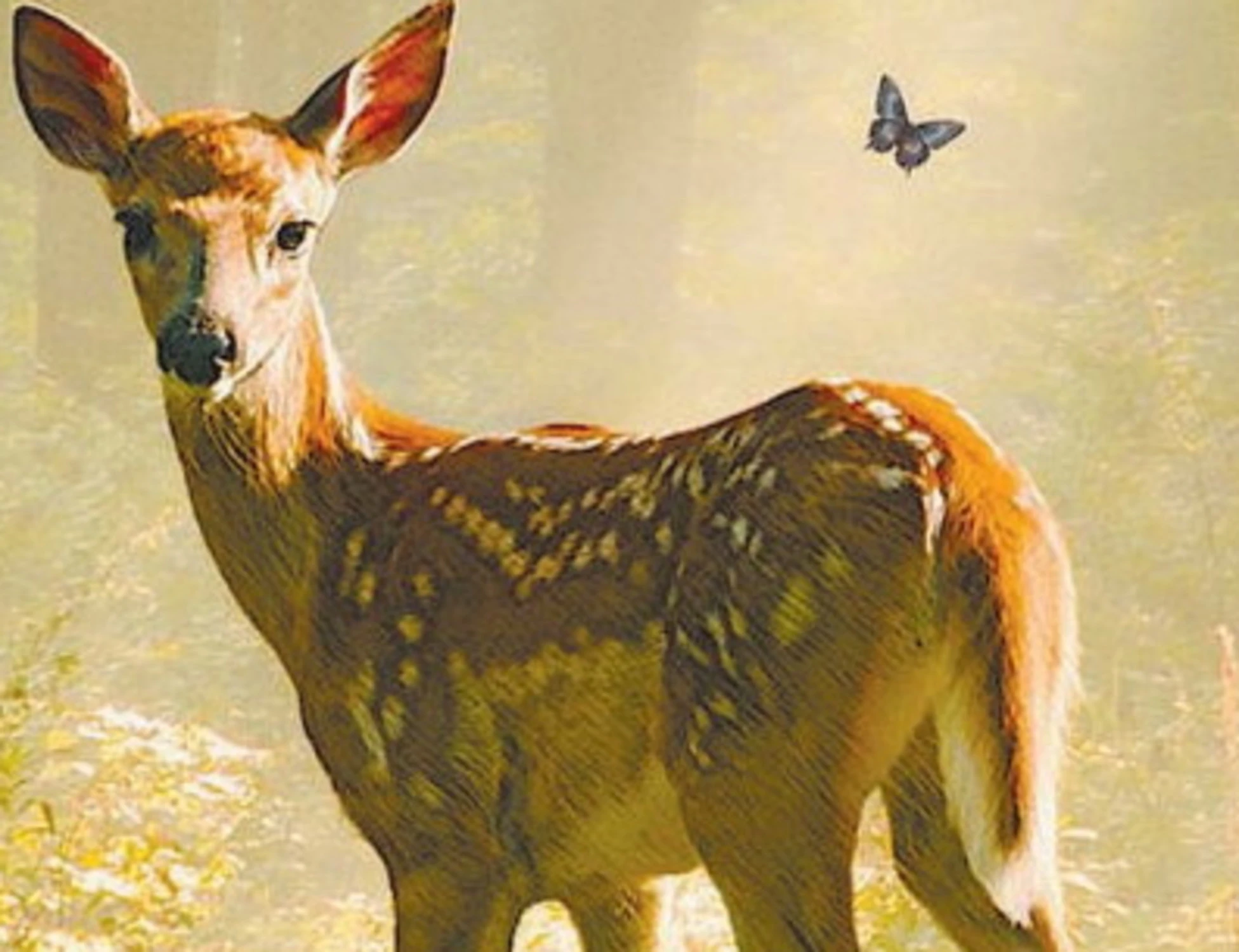 Bambi, il remake francese in salsa woke non fa piangere