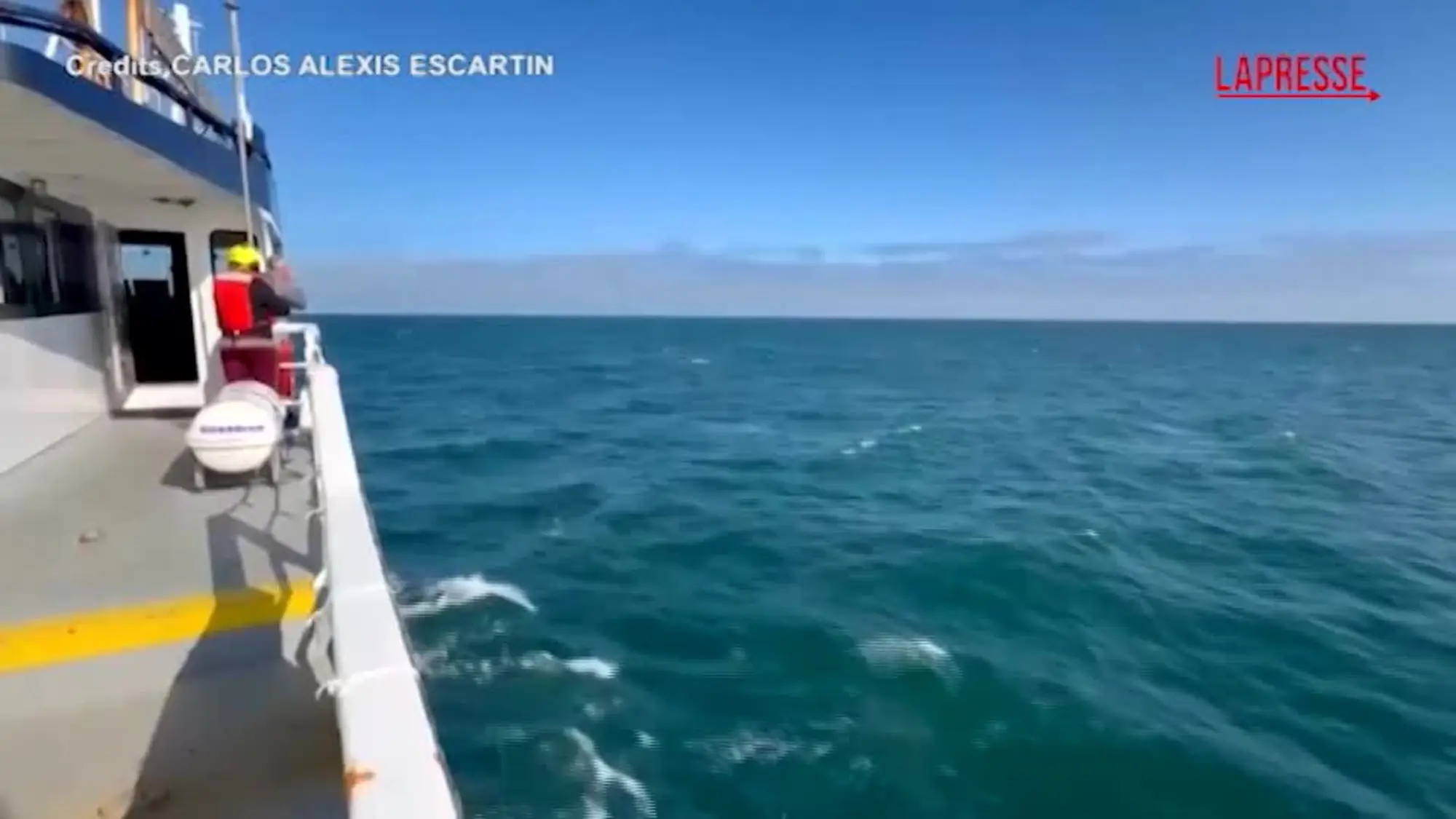 Alaska, peschereccio salva ragazzo alla deriva nell'oceano: le immagini del soccorso