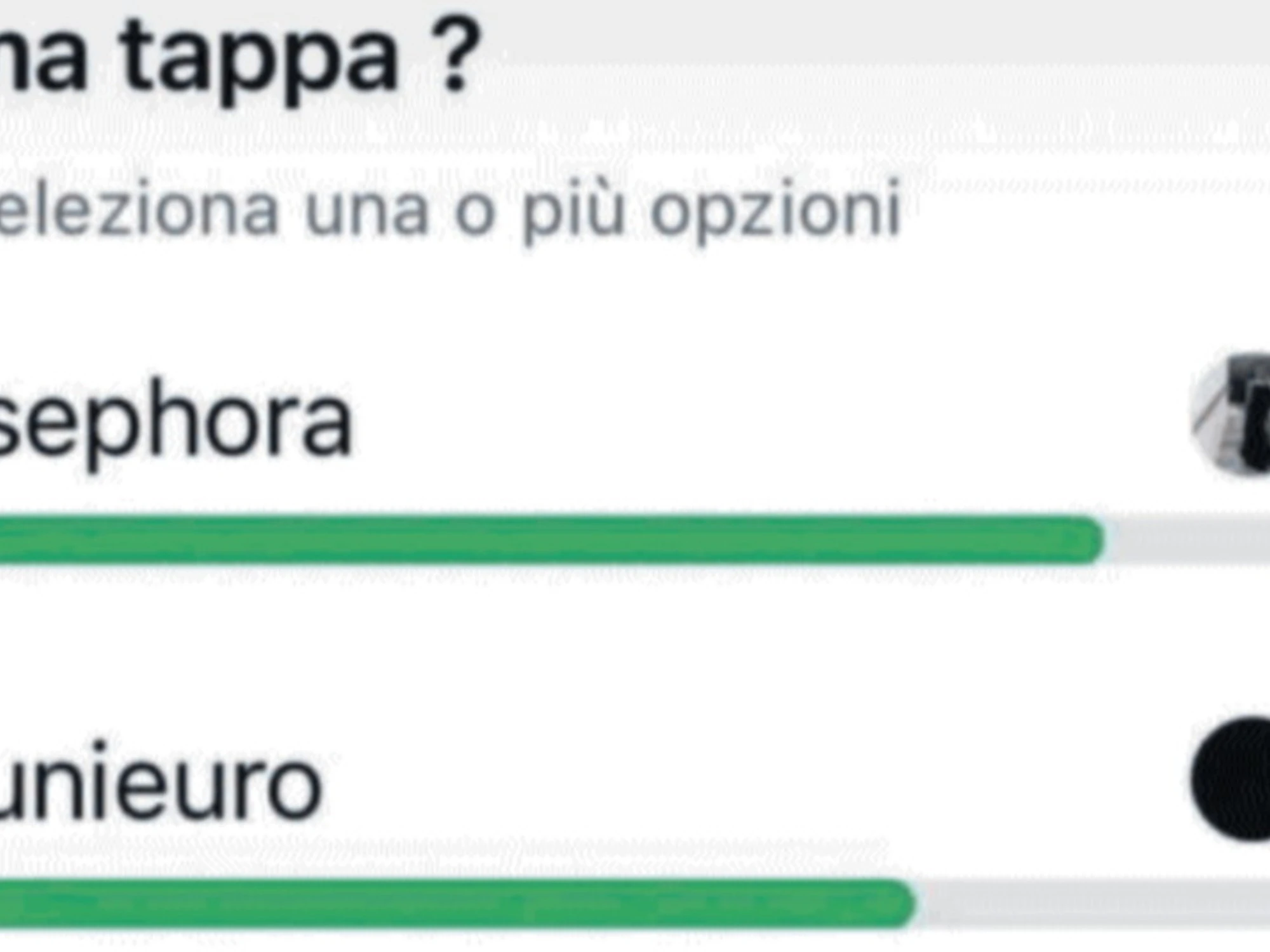 I saccheggiatori di Milano, la chat segreta: "Siamo i nuovi partigiani"