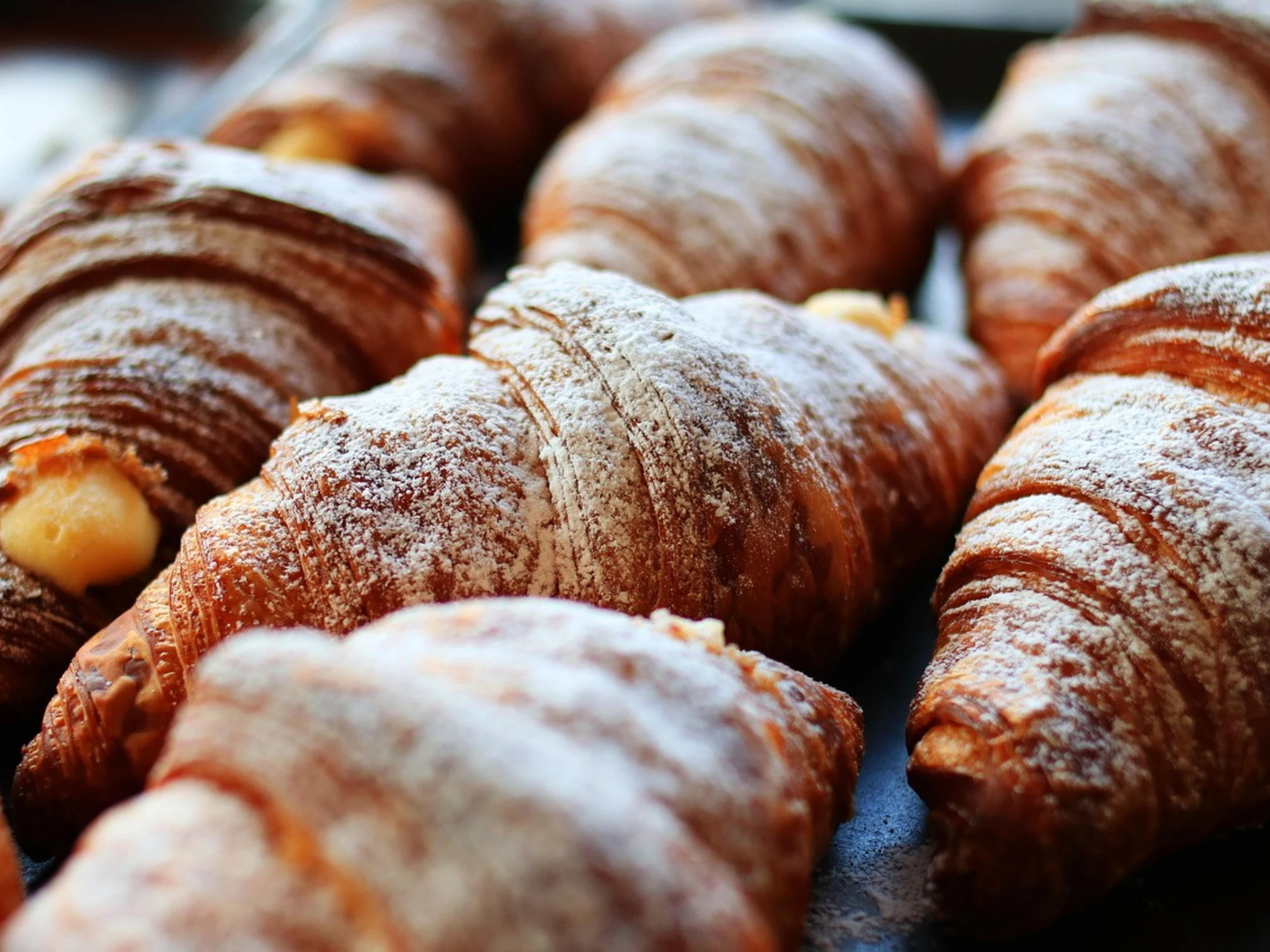 Scontrino e polemiche a Bologna: "Cornetto e cappuccino? Come un pranzo"