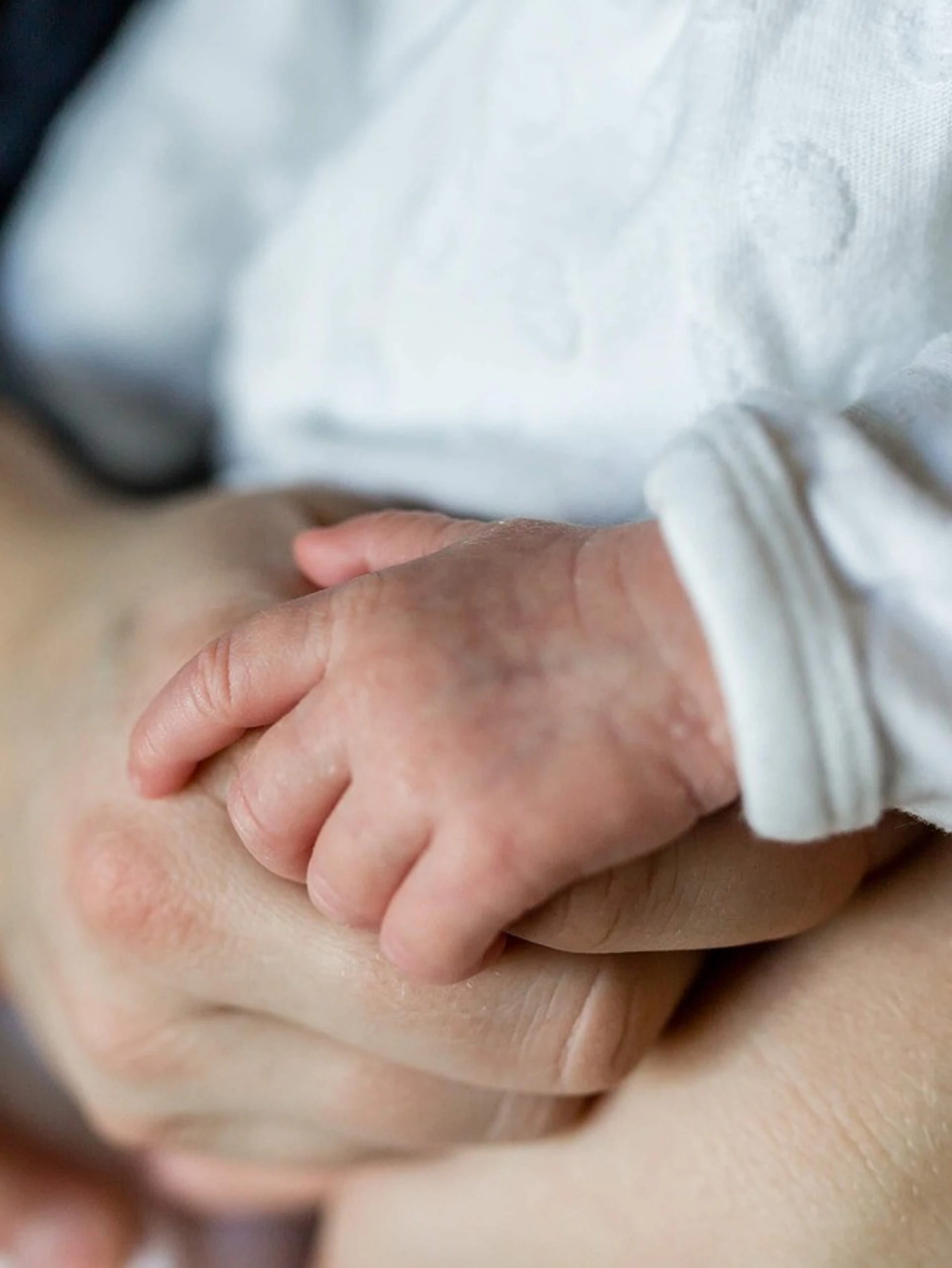 Un altro colpo alla famiglia