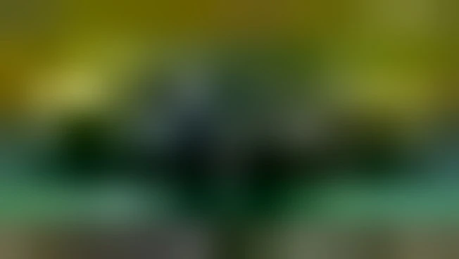 https://media.liberoquotidiano.it/OBHCWpyZrEOZnqEHPaQKS0ko--JYb8zmqjLPaD8xuqI/width:800/quality:90/aW1hZ2VzLzIwMjYvMDkvMjQvMDc1ODIxMDY0LWFjMzhiZGMzLWRlMGYtNDA5ZS1hMGNhLTVmMTFiMjc3OTc3NS5qcGc.webp