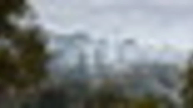 https://media.liberoquotidiano.it/OFBcJv4DyWTEQKtxDdaZQ1azFP2gvsGLo1vWUUM12vM/width:800/quality:90/aW1hZ2VzLzIwMjYvMDcvMzEvMDg1NzI0MDkwLWViODU0ODI0LWZiMGUtNDllZi1hMjVkLTRlNGI3YzVkYzI2OC5qcGc.webp