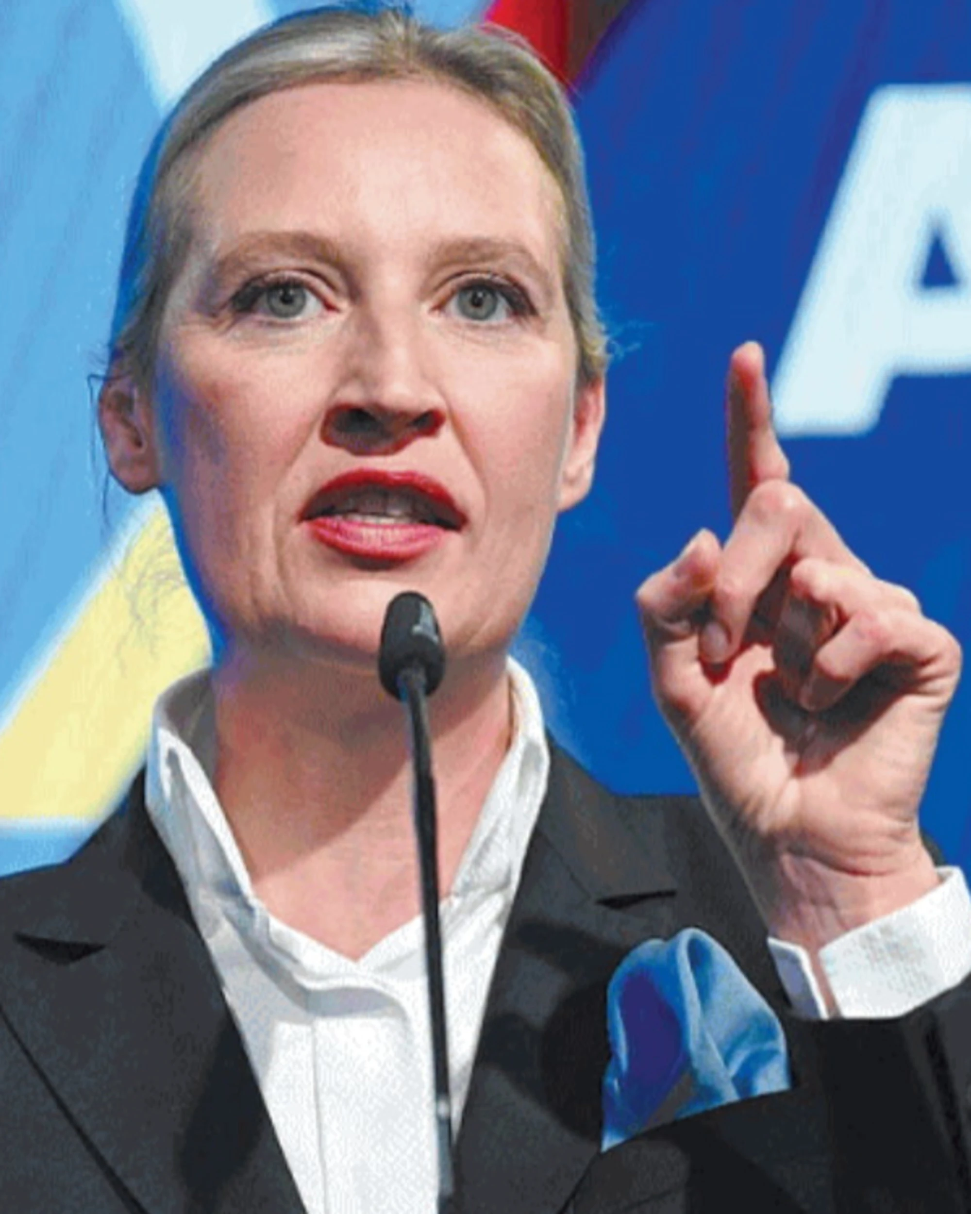 Vietato salutare i leader di AfD