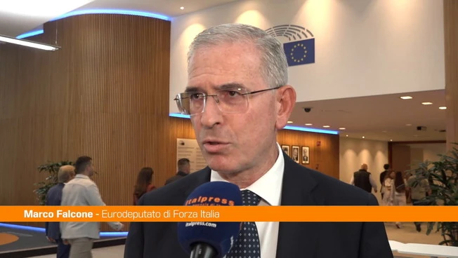 Germania, Falcone "Il voto in Sassonia è un campanello d'allarme per l'Europa"