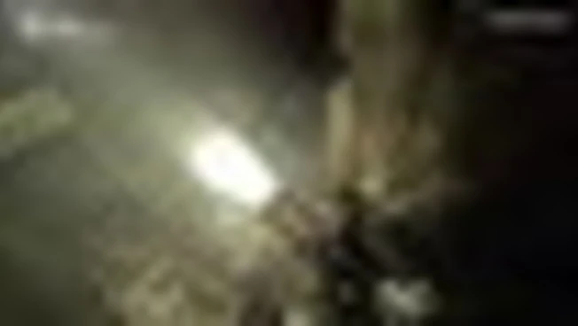 Ucraina, il salvataggio di una donna e i suoi gatti visto dalla bodycam