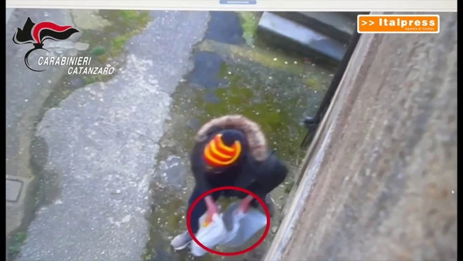 Compravano la droga con il reddito di cittadinanza, 24 misure cautelari