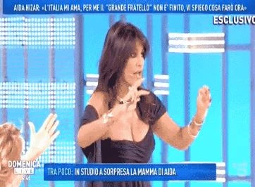 Grande Fratello, Aida Nizar vestita così a Domenica Live da Barbara D'Urso: si abbassa e..., "ma si è visto davvero?"