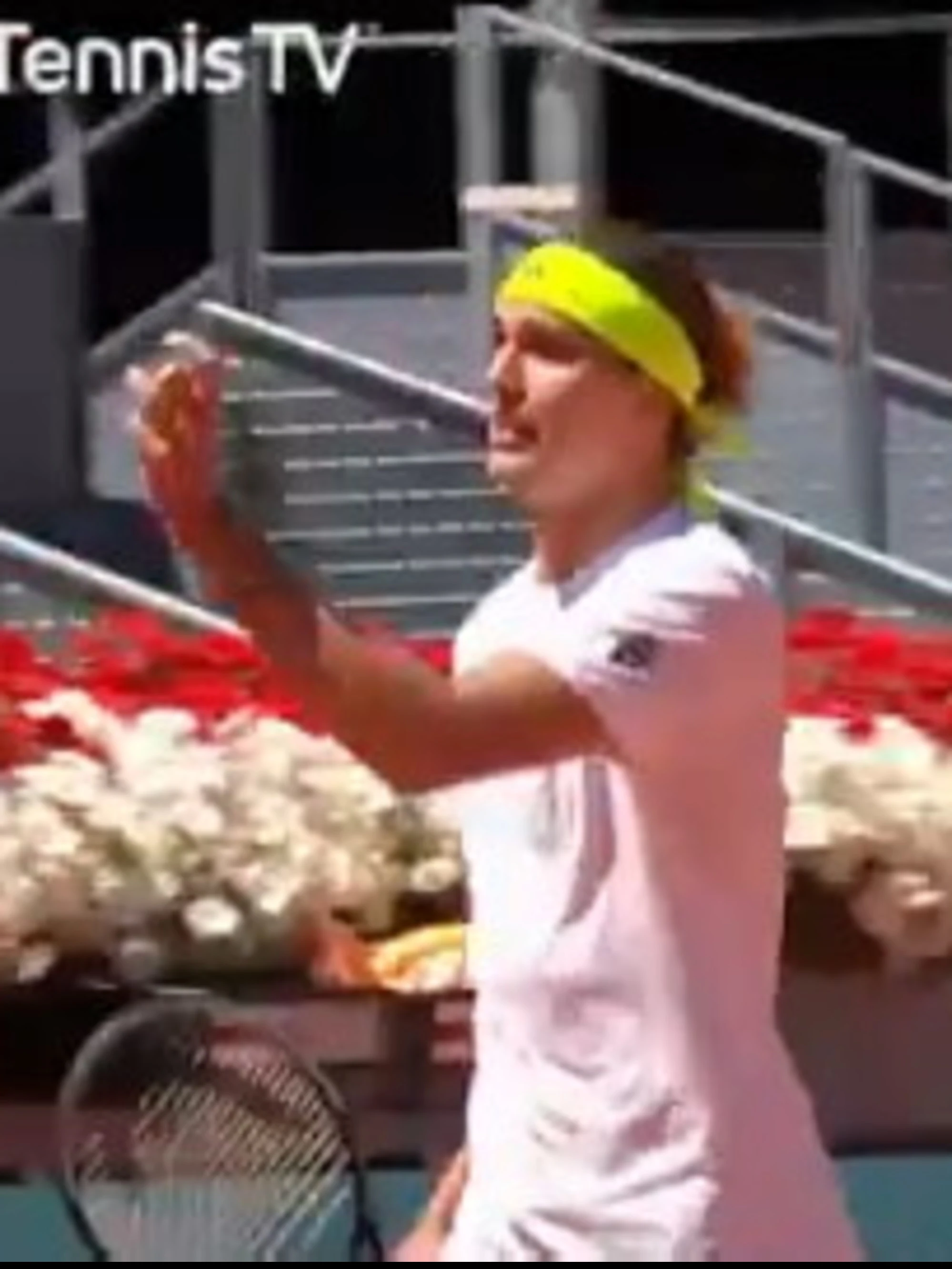 Zverev perde la testa a Madrid: cosa porta in campo