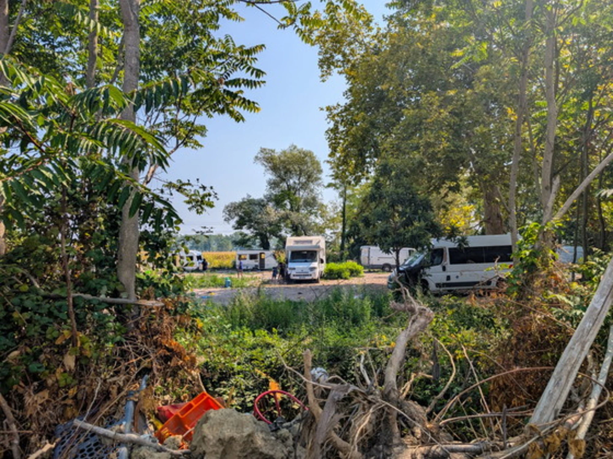 Toh, sui giornali di sinistra salta l’etnia dei baby “pirati”