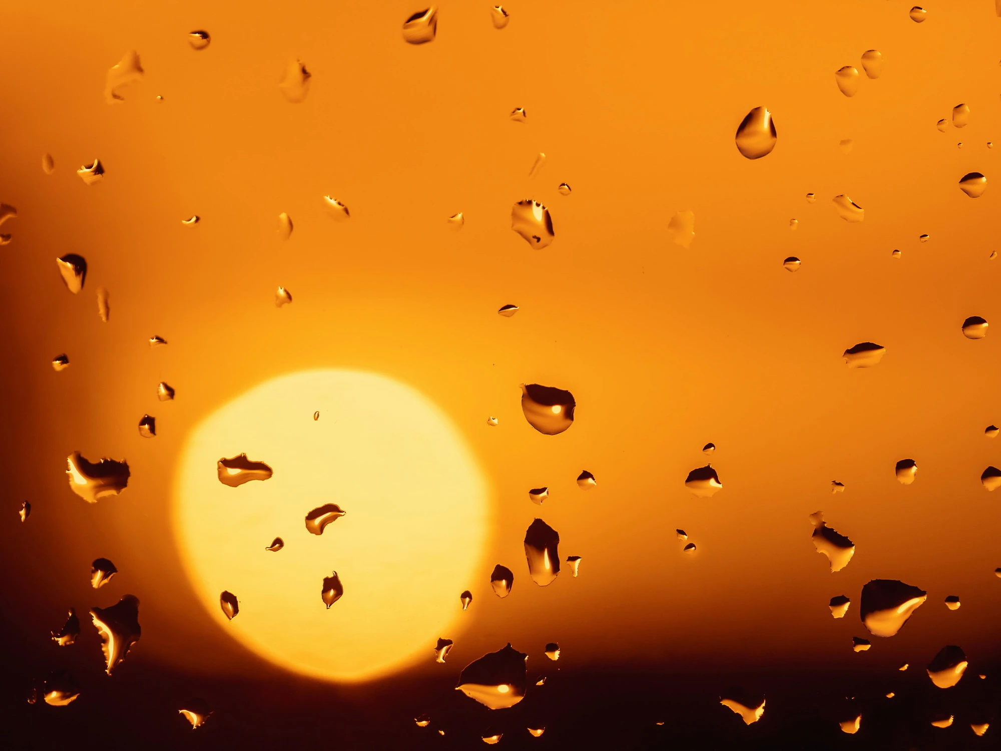 Meteo di Pasqua, il verdetto definitivo dei modelli: che tempo farà