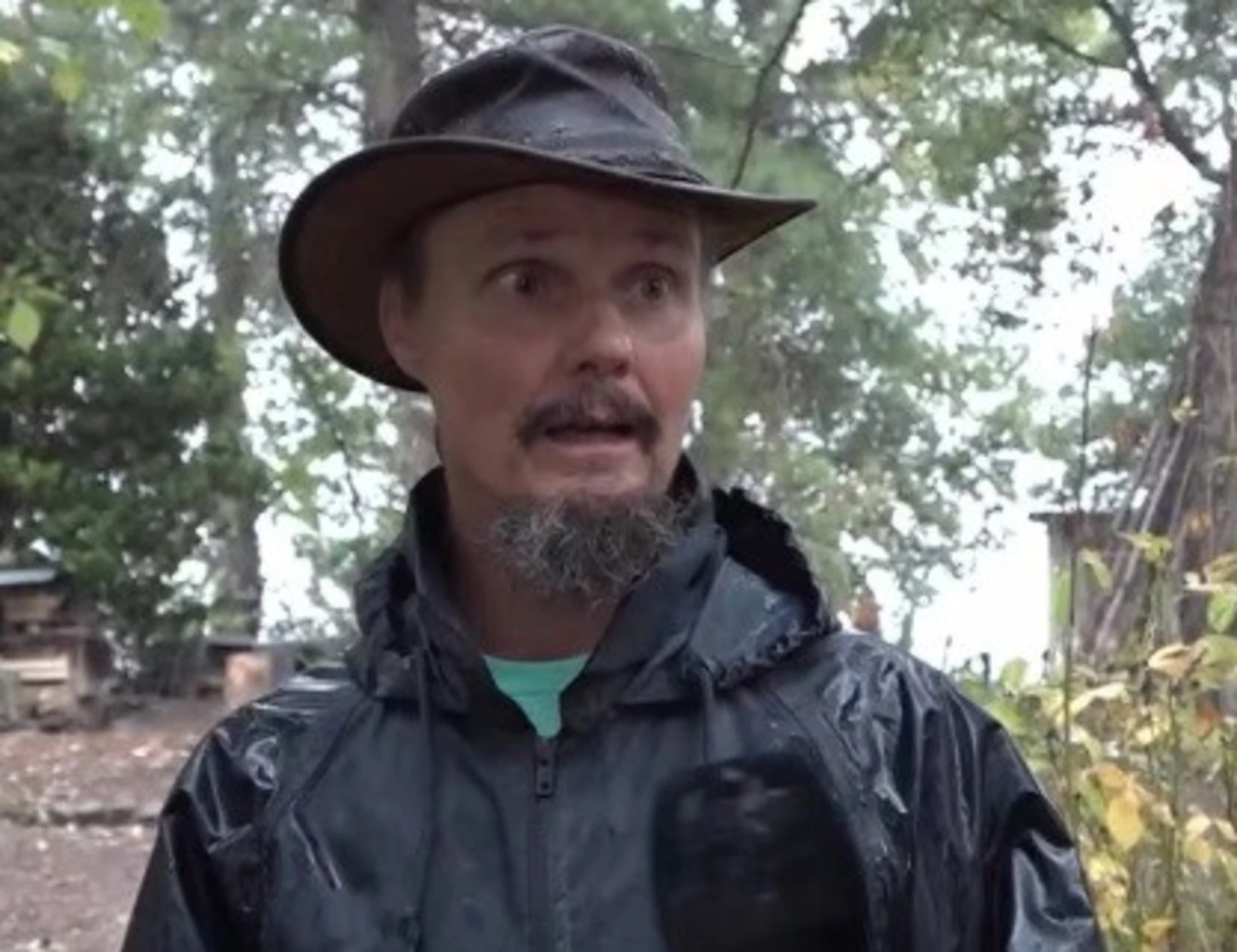 Tg1, le conseguenze della "Famiglia nel bosco"