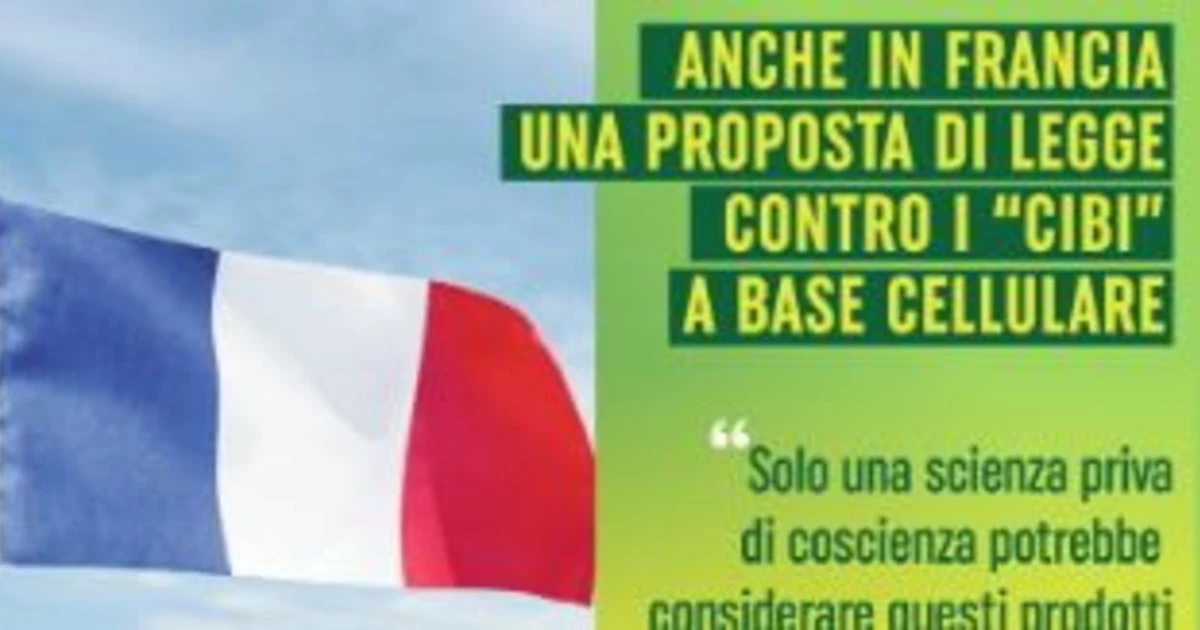 Cibi sintetici, Coldiretti: "Anche la Francia segue l'Italia"