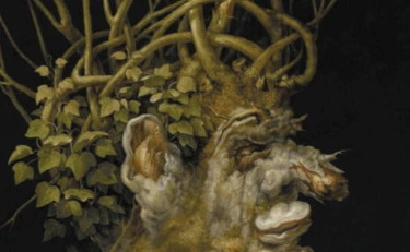 La storia e la bellezza dell’arte non sono più lusso per pochi