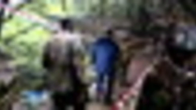 M.O., diplomatici occidentali e arabi visitano confine Israele-Libano