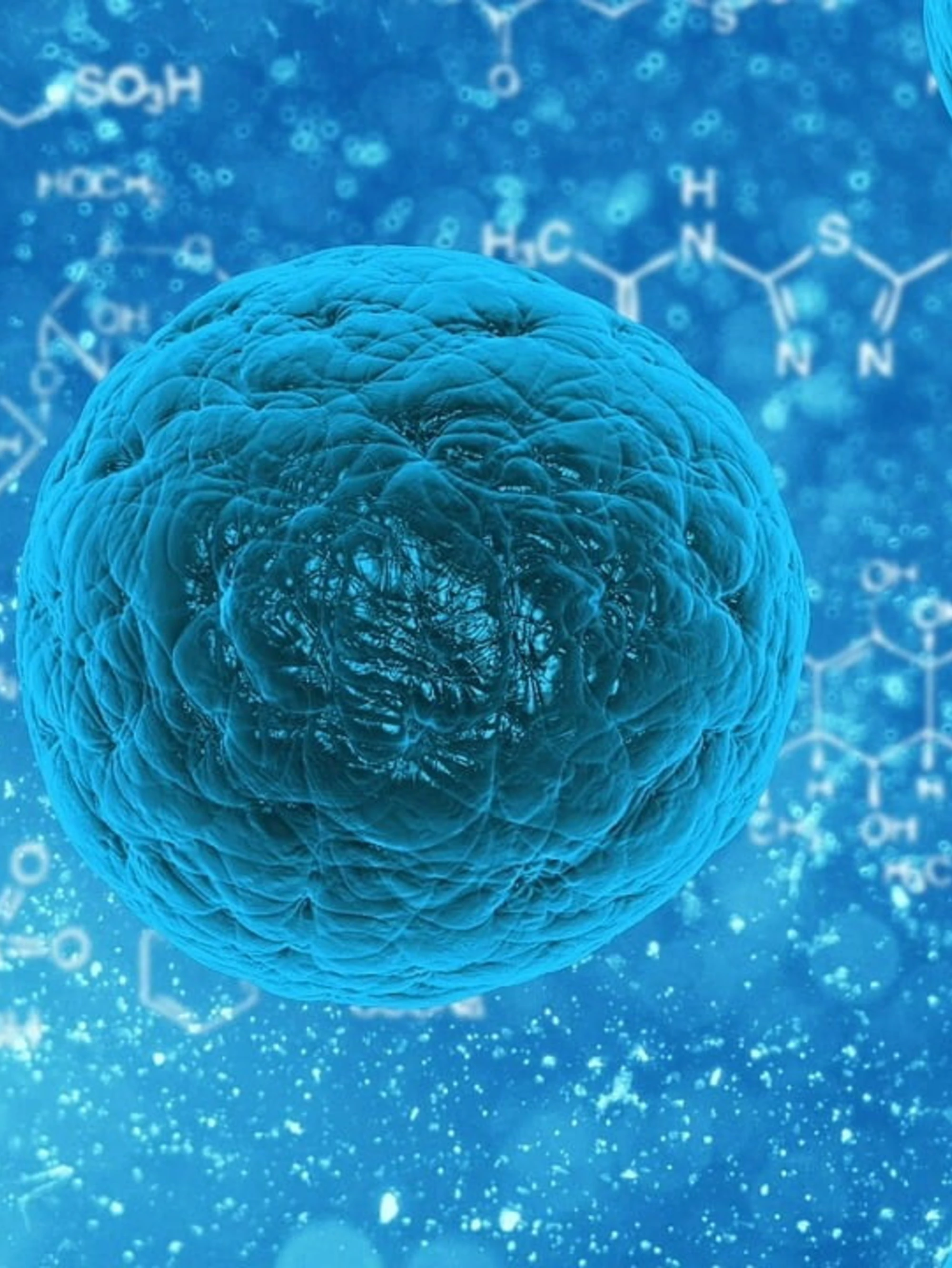 Verona, il virus tropicale assedia la città: un incubo, sintomi e conseguenze