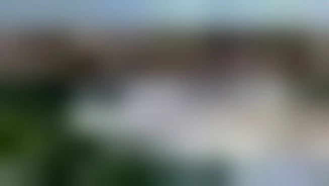 https://media.liberoquotidiano.it/On9FxL9U6diwriPJLX85AyC47n0j6eSr245mUpX15Iw/width:800/quality:90/aW1hZ2VzLzIwMjUvMTAvMTMvMTIzNzMwNDYxLWE1ZjliMTEyLTllN2ItNGFhYS1iNzNjLTRiMzliZGNhYTVhZS5qcGc.webp