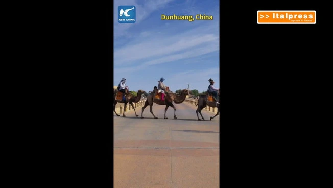 Cina, a Dunhuang semafori dedicati ai cammelli regolano il traffico