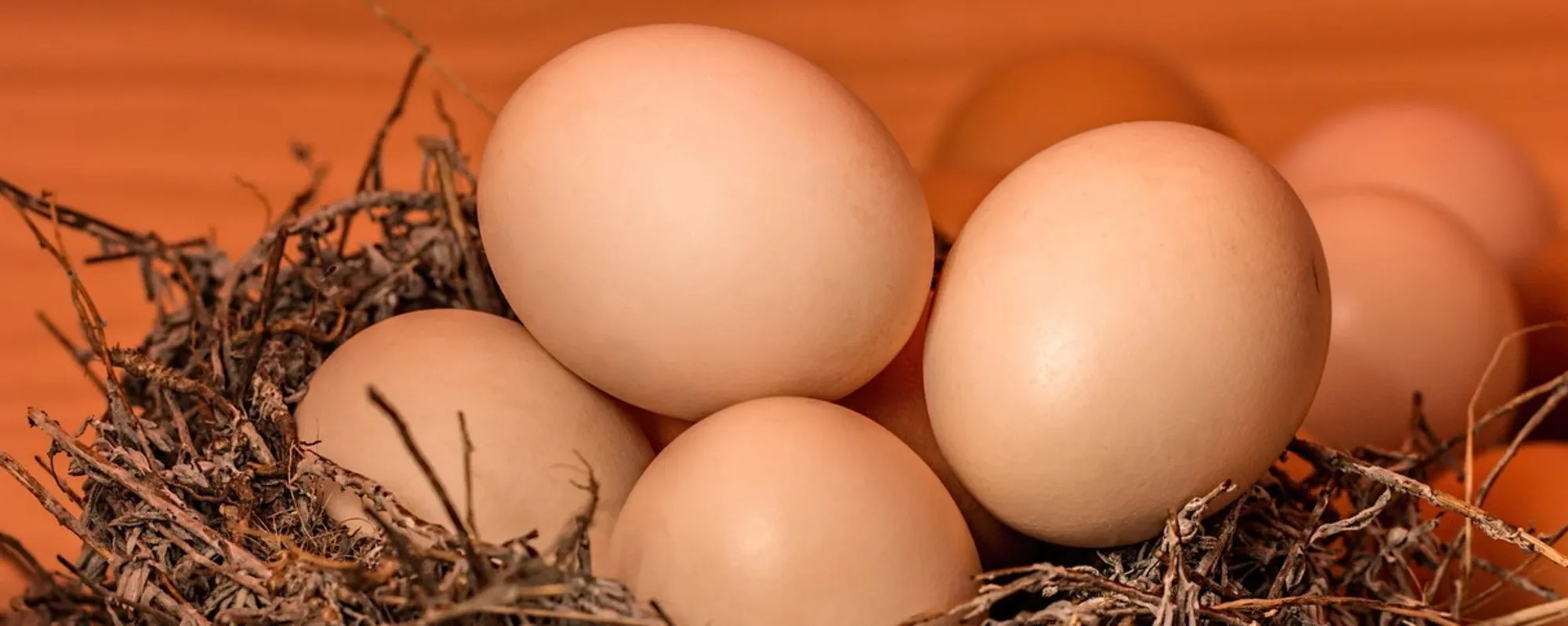 Mai lavare le uova, ecco quale rischio si corre