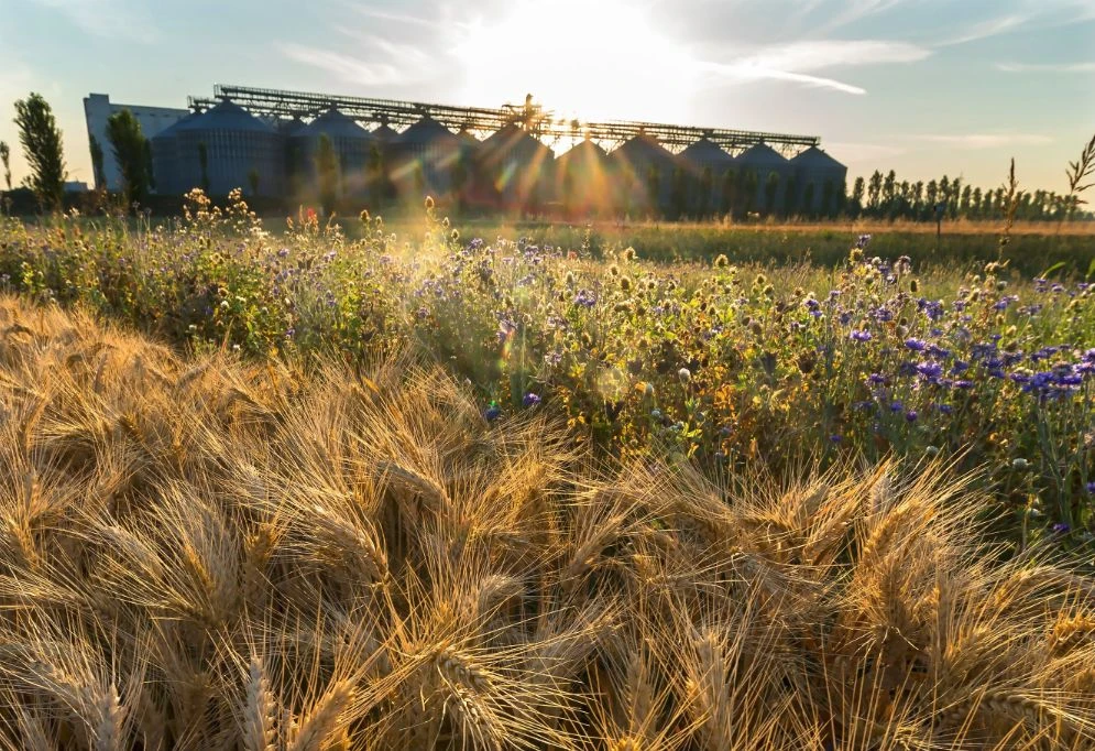 AGRICOLTURA SOSTENIBILE, NASCE LA "CARTA DEL MULINO"