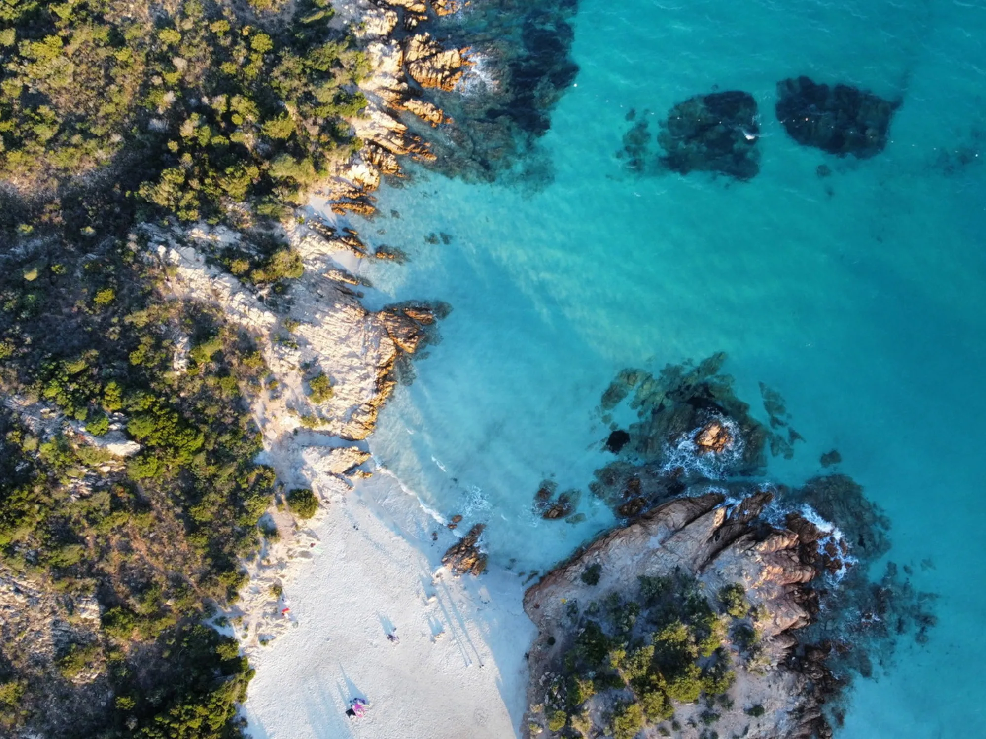 Leggi l'articolo: Turisti in spiaggia e furti a raffica: Sardegna, incubo nei resort di lusso. Chi c'è dietro