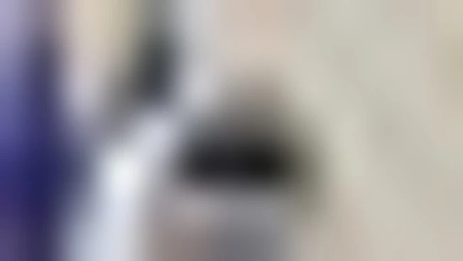 Francia: l'ordine politico europeo "è oggi in pericolo"