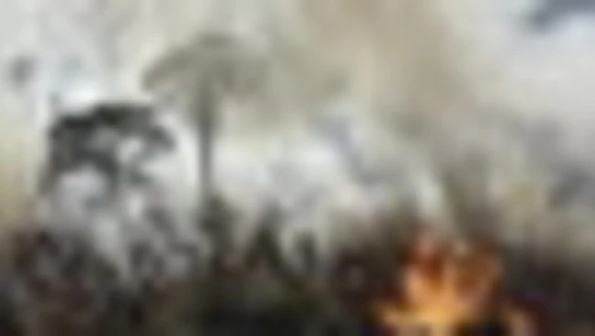https://media.liberoquotidiano.it/P5dfMkeO0VDGQMhcweTKNrjlDGQPpp00DwwU3hWxhsM/width:800/quality:90/aW1hZ2VzLzIwMjYvMDkvMDMvMTE0NjU4NDUzLWU0ZTg2MzhhLWE4OGEtNGRiOC05ZWQxLTExZThjZDE5MmVjNi5qcGc.webp