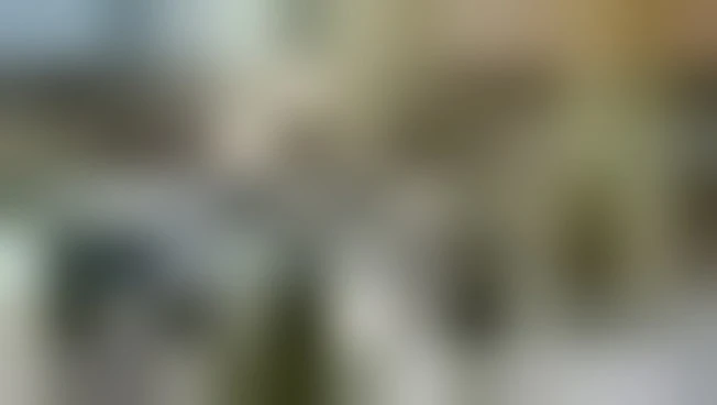 A Stoccolma il barista prepara il caffè, l'IA gestisce il locale