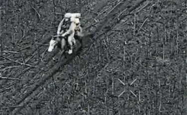 Russia, soldati a cavallo: perché è un'arma micidiale