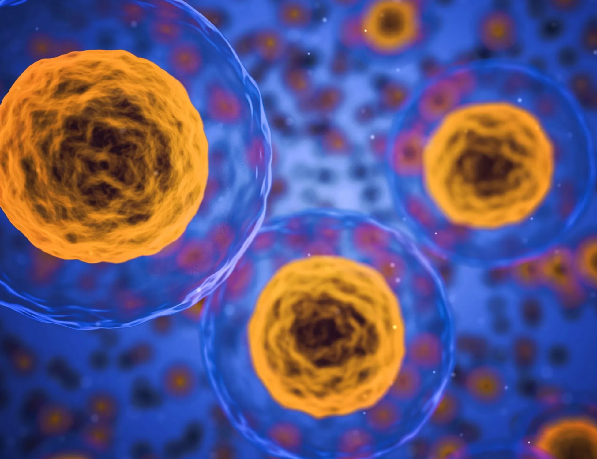 Cancro: nei linfonodi la nuova arma contro i tumori