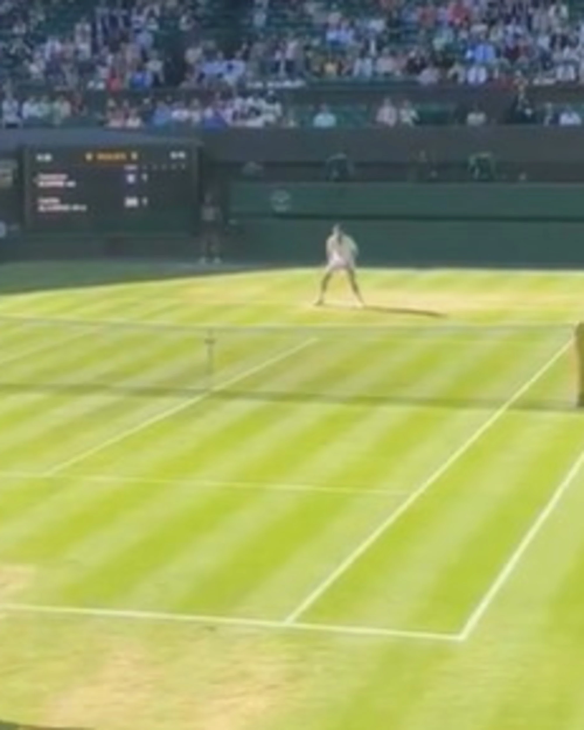 Alcaraz zittisce Wimbledon: il punto che umilia Norrie, è semifinale