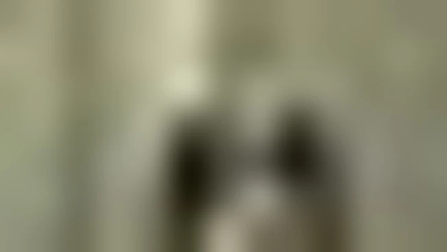 https://media.liberoquotidiano.it/PD8wj_SuXZjBdfRKY4psl6feA9vOHLKJNglL8tfLLxg/width:800/quality:90/aW1hZ2VzLzIwMjUvMTAvMDkvMTMxMzA5NzQxLTg2ZmY0NjZjLTFmNjYtNGMyZi1iNmNhLTJkNGZlZTFiOTkxMy5qcGc.webp
