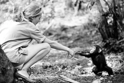 Una vita tra gli scimpanzè, Jane Goodall al Parco Natura Viva