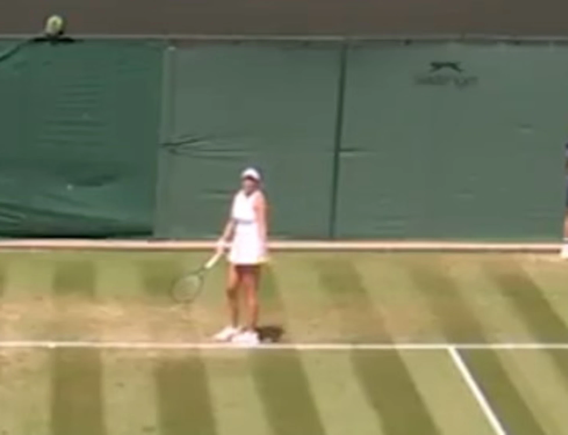 Wimbledon, la Anisimova sta per servire? Un "botto" tra il pubblico, cos'è successo