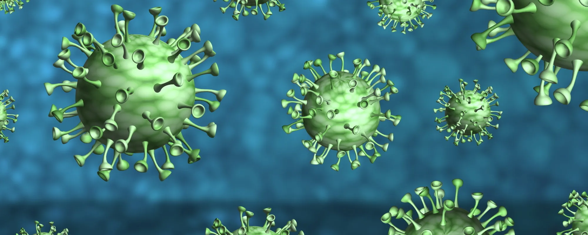 Oms: "Né Ebola né Marburg". E i primi morti: il virus misterioso