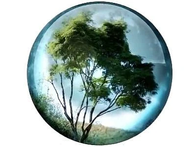 La natura contro la crisi, solo dagli ecosistemi marini italiani 9 miliardi l'anno