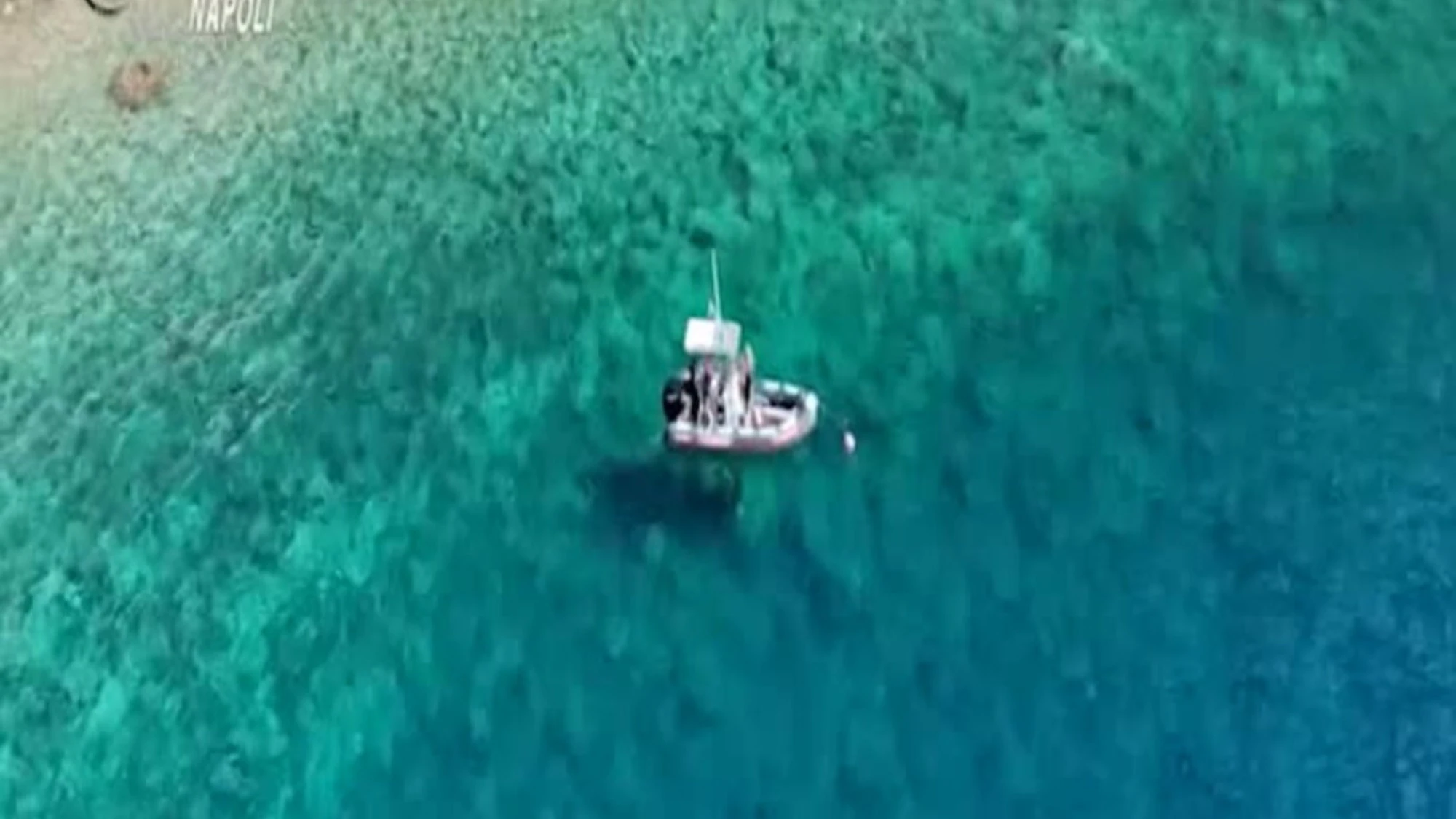 Ischia, resort di lusso abusivo: dove era nascosto, clamoroso